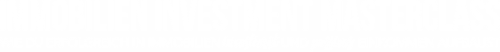 Immo_LOGO_einzeilig_weiß